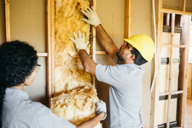 Best Garage Insulation  in Tecumseh, MI